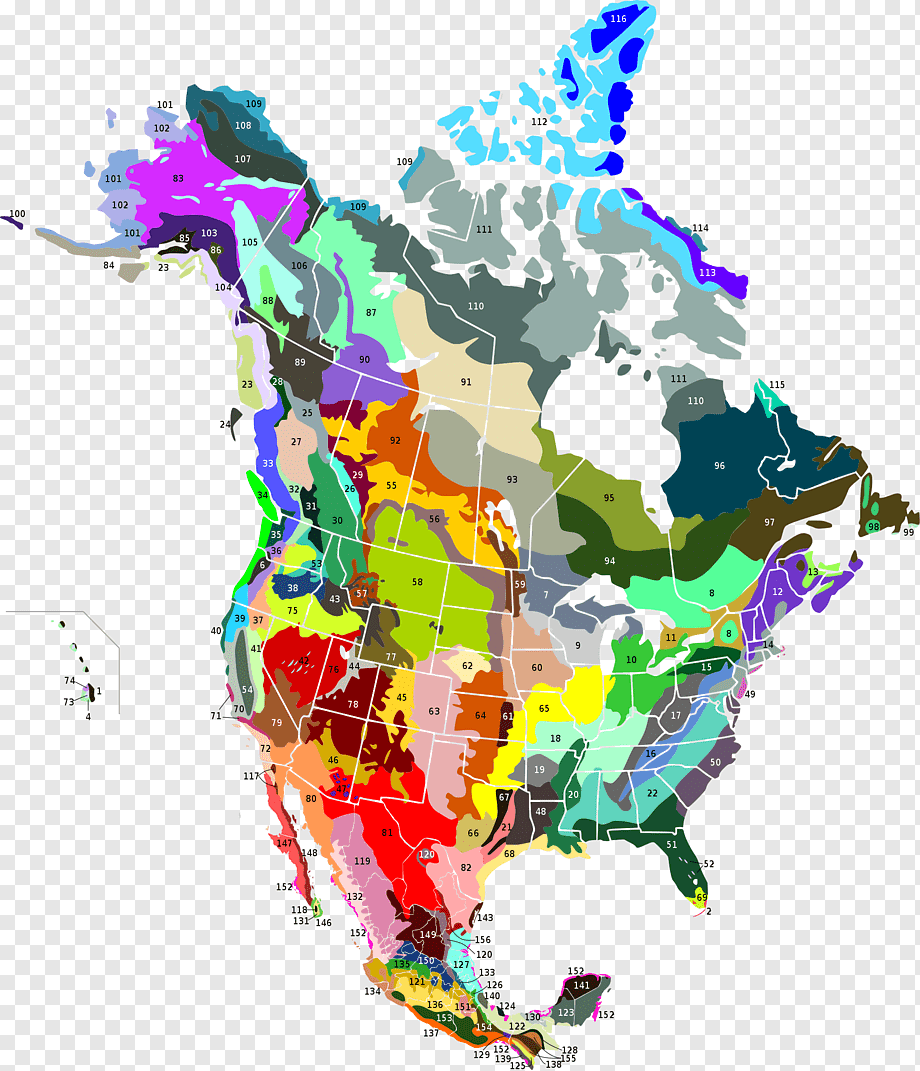 png-transparent-united-states-canada-geology-continent-ecoregion-united-states-canada-world-united-states